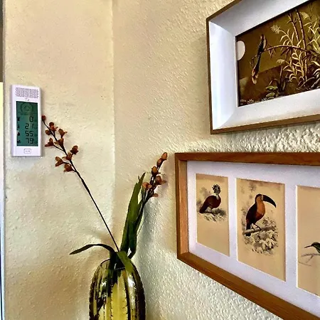 Upper Floor Sunny Terrace アパート *