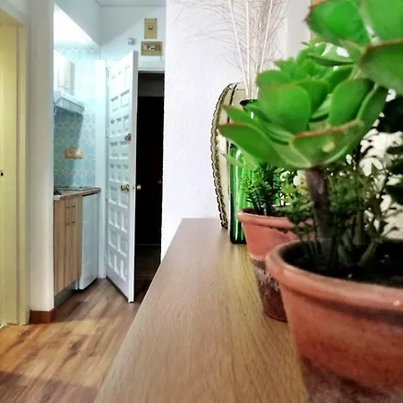 Upper Floor Sunny Terrace アパート トレモリノス