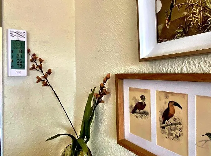 Upper Floor Sunny Terrace Appartamento *