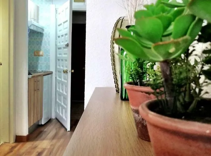 Upper Floor Sunny Terrace Διαμέρισμα Τορρεμολίνος